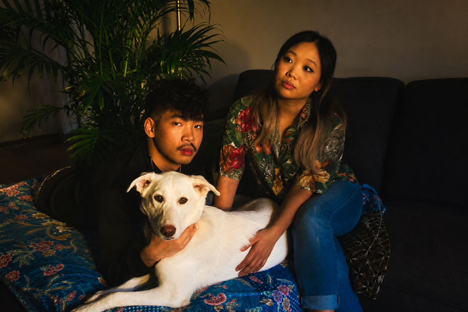 Ant, Lee, and Luna relaxing together at home